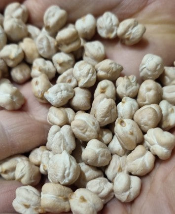 Chickpeas 8 mm, 25 Kg AB