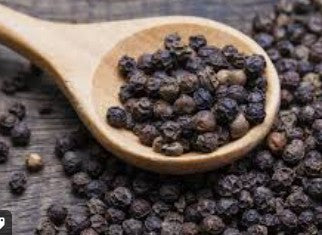 Black Pepper Seeds - (12*500gr)