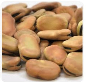 800 gr *1 - Foul 3arid